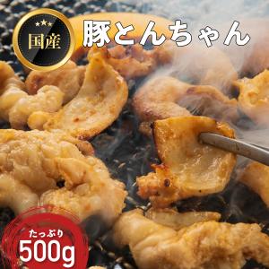 トンちゃん ドンちゃん2CUP｜イベント情報｜セガNET麻雀【MJ ARCADE】