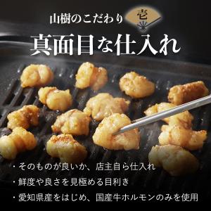 国産牛 牛とろ ホルモン焼き 1kg メガ盛り...の詳細画像3