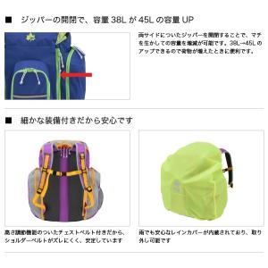 グランドセール リュックサック デイパック ロゴス Logos リュック Logos 林間リュック レインカバー付き キッズリュック バッグ バックパック デイパック 希少 黒入荷