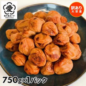 【訳あり・大容量】愛須食品 和歌山県産 紀州南高...の商品画像