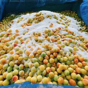 【訳あり・大容量】愛須食品 和歌山県産 紀州南...の詳細画像4