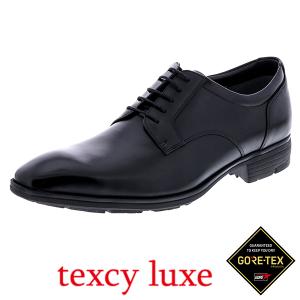 texcy luxe アシックス商事 テクシーリュクス ゴアテックス 本革