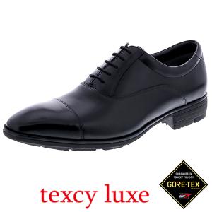 texcy luxe アシックス商事 テクシーリュクス ゴアテックス 本革