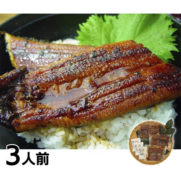 四万十生産 高知県産うなぎ蒲焼カット 3人前 6N620 1セット（210g：70g×3袋）