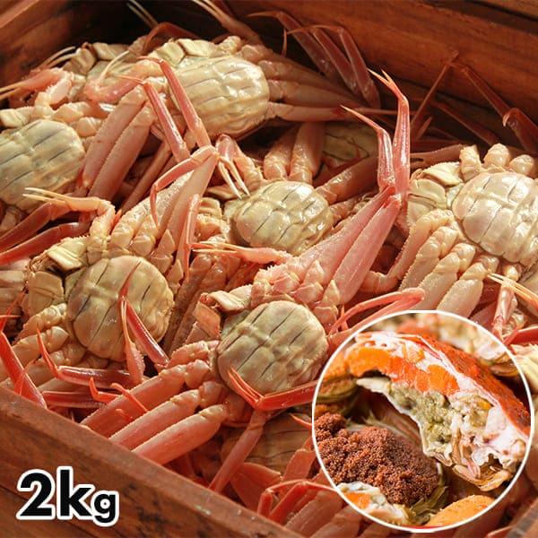 【訳あり】 アイブリッジ 兵庫県香住産 セコガニ 2kg 1kg（約7〜8尾入）×2箱