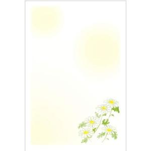 裏面印刷済み》 