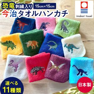 【残2種】 今治タオル認定 ミニハンカチ 選べる...の商品画像