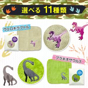 【残2種】 今治タオル認定 ミニハンカチ 選べ...の詳細画像1