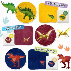 【残2種】 今治タオル認定 ミニハンカチ 選べ...の詳細画像2