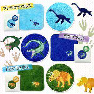 【残2種】 今治タオル認定 ミニハンカチ 選べ...の詳細画像3