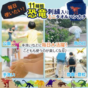 【残2種】 今治タオル認定 ミニハンカチ 選べ...の詳細画像4