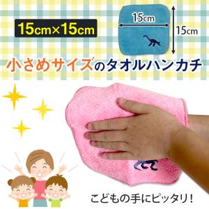【残2種】 今治タオル認定 ミニハンカチ 選べ...の詳細画像5