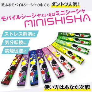 即納 正規品 ミニシーシャ 選べる5種 MIN...の詳細画像1