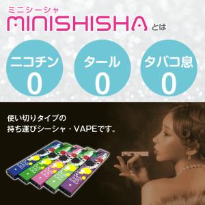 即納 正規品 ミニシーシャ 選べる5種 MIN...の詳細画像3