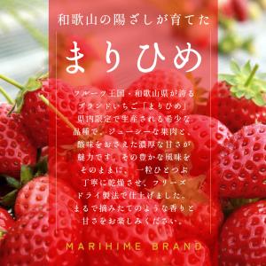 イチゴ ドライフルーツ 砂糖不使用 ドライイチ...の詳細画像2
