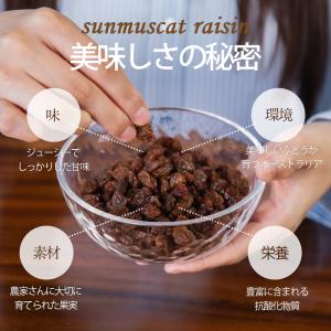 ドライフルーツ 砂糖不使用 無添加 サンマスカ...の詳細画像2