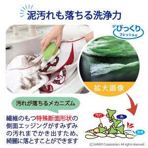 洗濯板 ちょこっと洗濯 手洗い 汗 泥 ブラシ...の詳細画像3