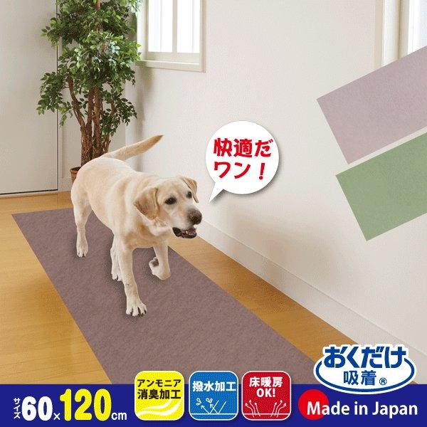 ペットマット ロングマット サンコー 犬 ずれない 滑らない 吸着 洗える 消臭保護 60×120c...