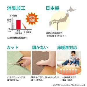 見本 生地サンプル おくだけ吸着 コード カー...の詳細画像5