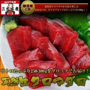 お中元　境港産 天然クロマグロ(本マグロ) 中トロブロック250g以上｜sankousuisan