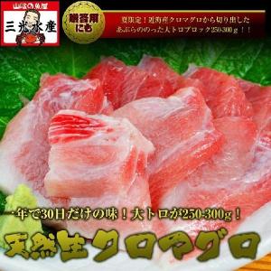 お中元　境港産　天然クロマグロ(本マグロ) 特上大トロブロック250g以上