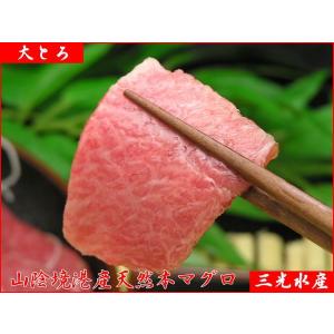 《送料無料》境港産天然生本マグロ尽くし(大トロ、中トロ、赤身食べ比べ/たっぷり1kg以上)セット[日本海 近海産本マグロ]