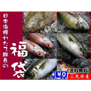 [送料無料]店長入魂「お得意様満足」日本海鮮魚の福袋　[当店人気No.1 中身はおまかせの鮮魚セット]