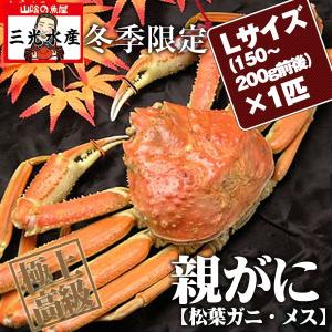 最終入荷：親蟹(せこ/勢子/松葉蟹雌/ズワイガニ雌) Lサイズ(150〜200g) 卵たっぷり《10匹以上のご注文で送料無料》