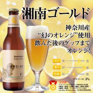 サンクトガーレン クラフトビール 12種 飲み...の詳細画像1