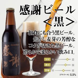 サンクトガーレン クラフトビール 12種 飲み...の詳細画像4