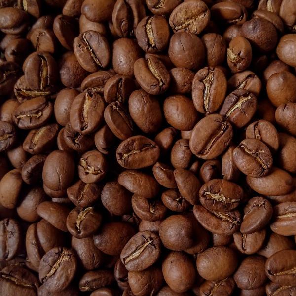 コーヒー豆・コーヒー粉・コーヒー・エクアドル・アンデスマウンテン【200ｇ入】コーヒー豆　コーヒー　...