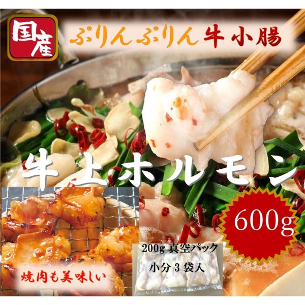 国産牛上ホルモン(小腸)　600ｇ(200g真空パック3袋）もつ鍋　焼肉　BBQ　とろける美味しさ　...