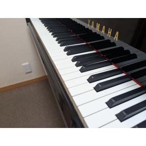 【3年保証】2019年製 C1X 中古グランド...の詳細画像3