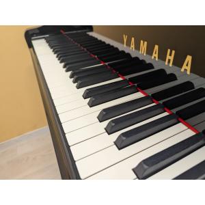 【3年保証】2019年製 C2X 中古グランド...の詳細画像3