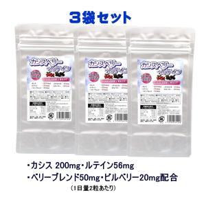 森下仁丹　カシスアイ　30日分×7袋 Amazon | 森下仁丹 ヘルスエイド カシスアイ 30日分 (90粒