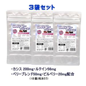 カシスベリー+ルテイン 90日分【3袋セット】 2粒にカシス200mg、ルテイン56mg、ベリーブレンド50mg、ビルベリー20mg、体臭　加齢臭　瞳の栄養｜三共サプリ