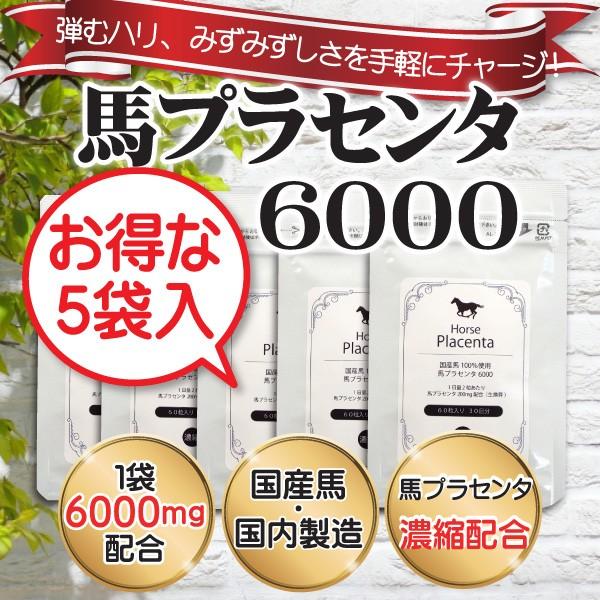 馬プラセンタ6000 【5袋セット】60粒入 5ヶ月分 国産馬プラセンタのみ使用 2粒に馬プラセンタ...