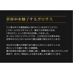 スモール クロコダイル メンズ トートバッグ ...の詳細画像2