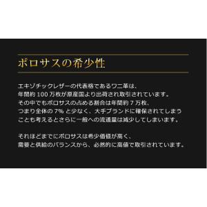 スモール クロコダイル メンズ トートバッグ ...の詳細画像5