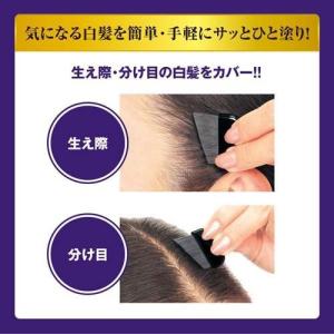 dhc Q10クイック白髪かくし SS ブラッ...の詳細画像2