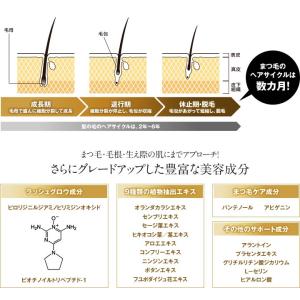 爆買 dhc まつ毛美容液 エクストラビューテ...の詳細画像3