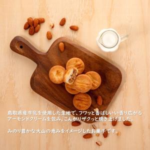 【大山ミルクガレット(10個入)】寿製菓 山陰...の詳細画像2