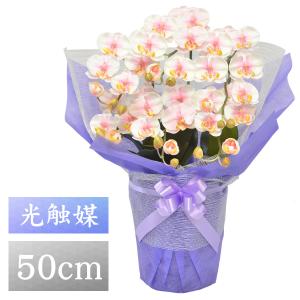 お盆提灯【八女提灯 シルクフラワー付き:クレマチス 和紙張り お盆提灯【八女提灯 シルクフラワー付き:クレマチス 和紙張り
