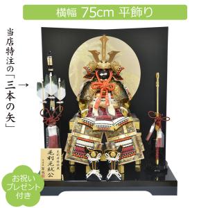 五月人形 コンパクト 徳川家康 兜平飾り 陣羽織飾り 5月人形 : 人形の