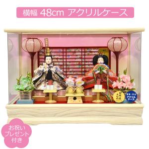 雛人形 ケース飾り 親王飾り アクリルケース 藤翁作 はづき 小三五親王