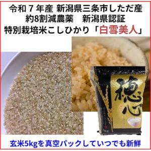 夏休みの生活応援！　令和７年産　減農薬　新潟コシヒカリ玄米５kg（真空パック）ネオニコチノイド系農薬不使用　新潟県三条市旧しただ村産　一等米