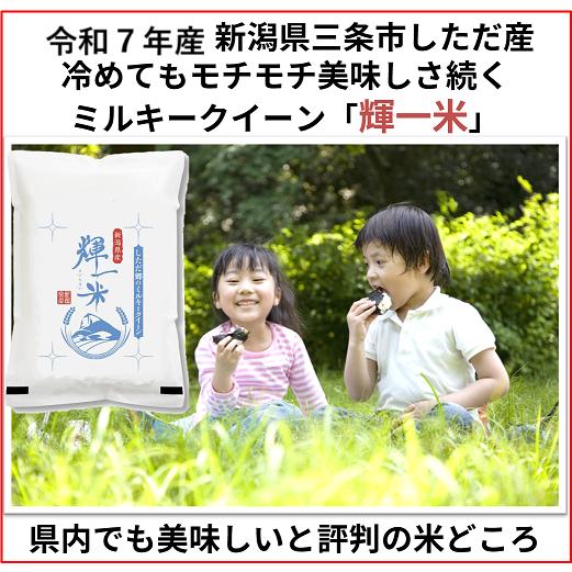 令和5年産新米　新潟ミルキークイーン白米5kg　新潟県三条市旧しただ村産　冷めてもモチモチ美味しいミ...