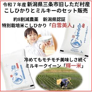コシヒカリ 夏休みの生活応援！令和7年産 減農薬 新潟コシヒカリ玄米