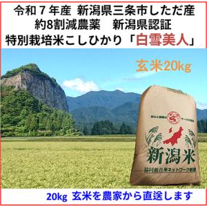 コシヒカリ 残り44個 令和7年産 減農薬 新潟コシヒカリ玄米30kg ネオ