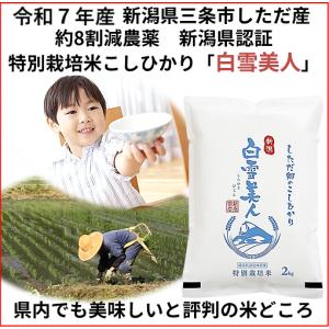 山梨県産 武川米　コシヒカリ 10kg 令和七年度産　残り1袋本日出荷可能です！ コシヒカリ 武川米 米10kg 山梨県武川町産 小澤義章 監修 令和7年産